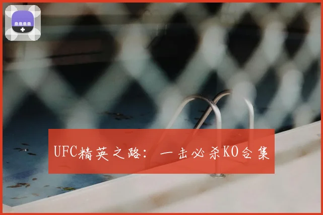 UFC精英之路：一击必杀KO合集
