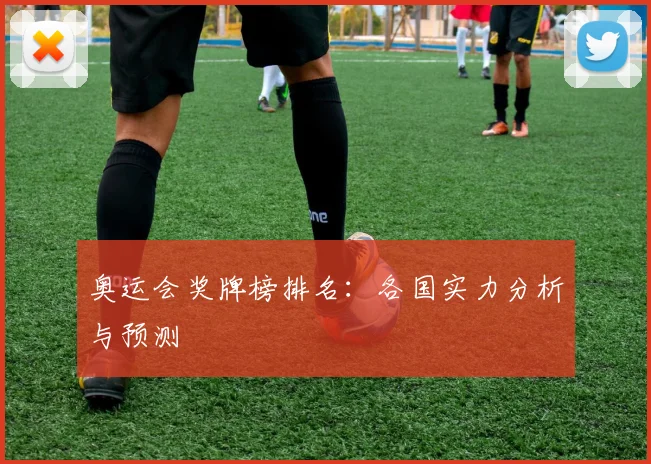 奥运会奖牌榜排名：各国实力分析与预测