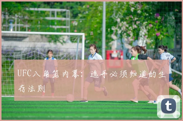 UFC八角笼内幕：选手必须知道的生存法则