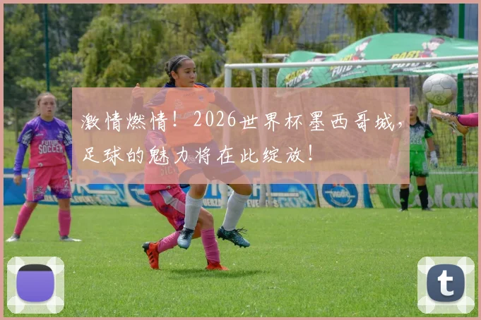 激情燃情!2026世界杯墨西哥城,足球的魅力将在此绽放!
