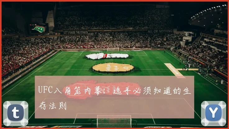 UFC八角笼内幕:选手必须知道的生存法则