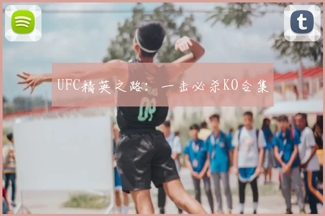UFC精英之路:一击必杀KO合集